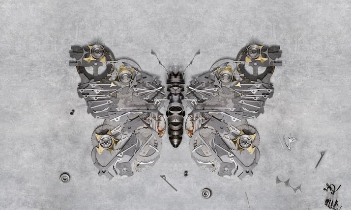 LANG_Schmetterling_Web