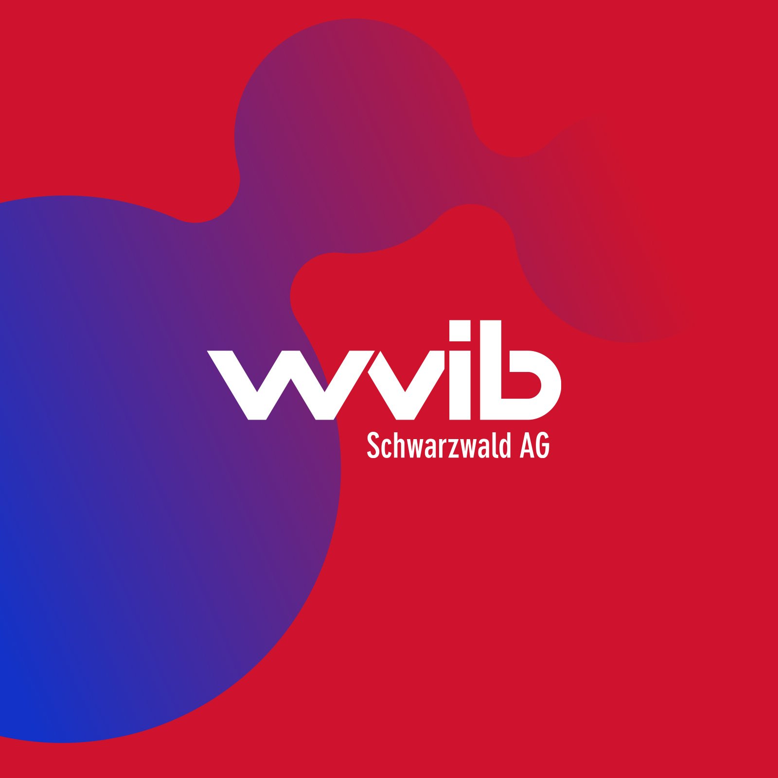 Case-Teaser-WVIB